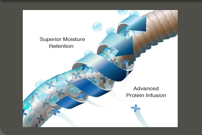 Digital illustration depicting the 
science behind the Nutress
conditioning of a protein blend
with moisturizers. Used on 
show banners, in trade ads, 
websites, and merchandising.