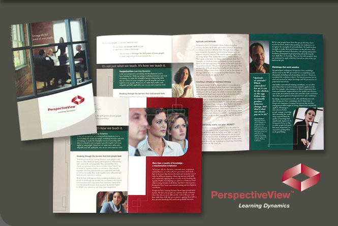 Brochure, course  catalog, folder and logotype for Perspective View, LLC